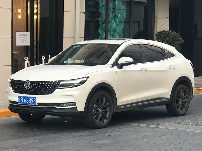 لوازم یدکی دانگ فنگ دیگنیتی